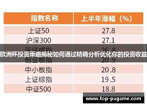 欧洲杯投资策略揭秘如何通过精确分析优化你的投资收益