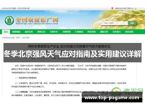冬季北京强风天气应对指南及实用建议详解