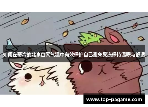 如何在寒冷的北京白天气温中有效保护自己避免受冻保持温暖与舒适