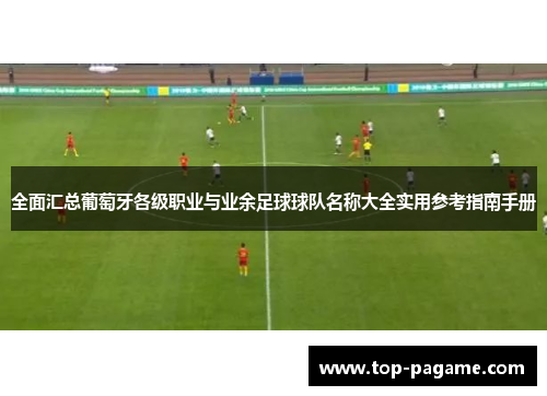 全面汇总葡萄牙各级职业与业余足球球队名称大全实用参考指南手册