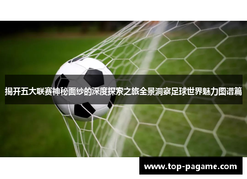 揭开五大联赛神秘面纱的深度探索之旅全景洞察足球世界魅力图谱篇