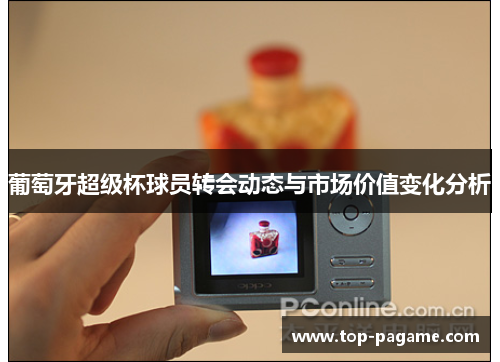 葡萄牙超级杯球员转会动态与市场价值变化分析